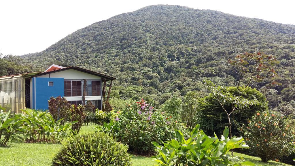 Celeste Mountain Lodge Бихагуа Экстерьер фото